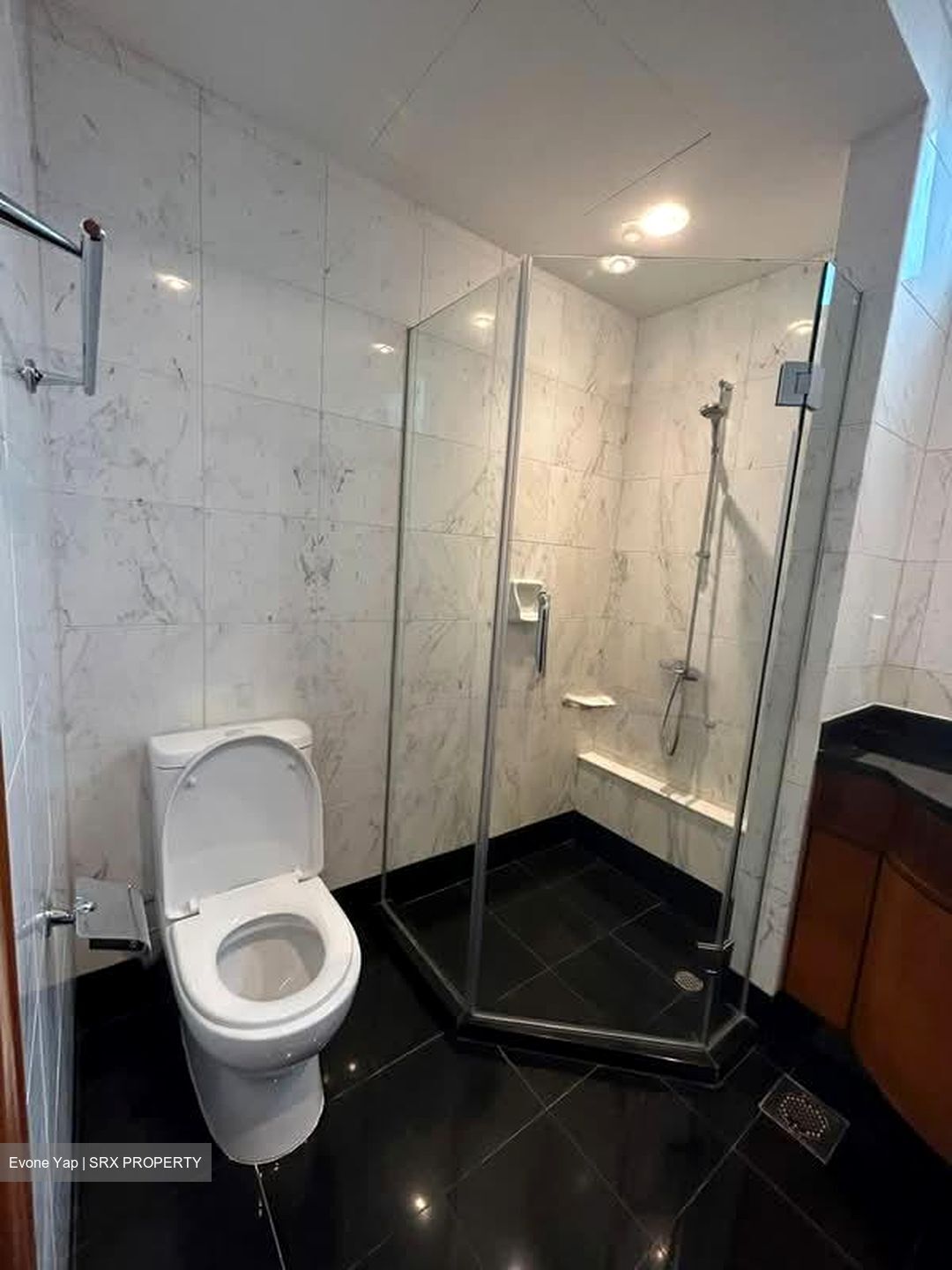 Patent Place (D21), Condominium #549550691